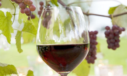 En novembre, c'est la fête du beaujolais nouveau. Petite histoire.