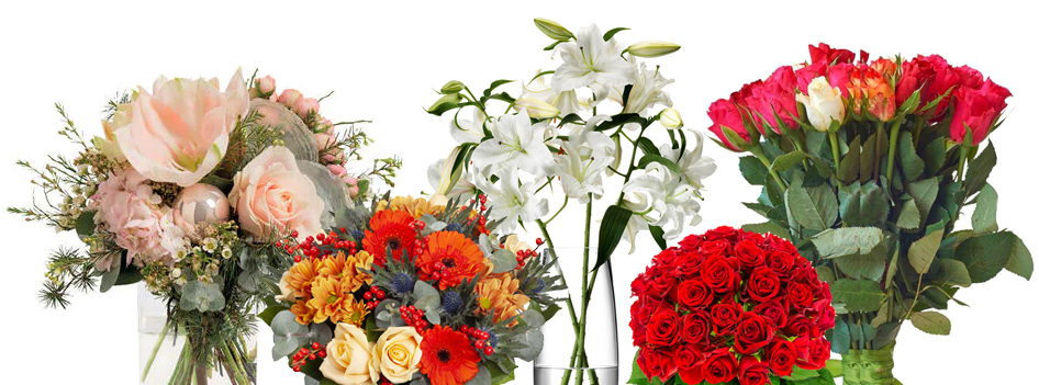 Tous les magasins de fleurs en bouquet en France
