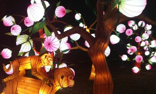 Tout savoir sur le Nouvel An chinois et ses 12 signes astrologiques