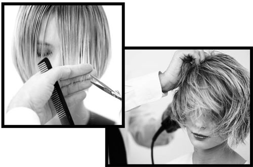 entrer dans le site Shampoo Expert