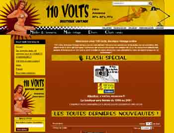 entrer dans le site 110 Volts.net