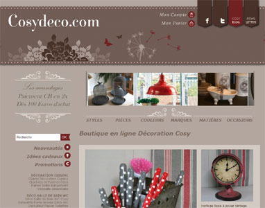 entrer dans le site Cosy Dco.com
