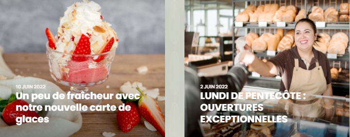 entrer dans le site Fischer
