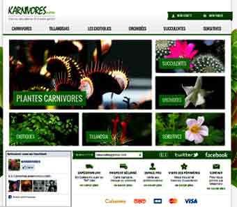 entrer dans le site Karnivores.com