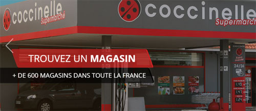 entrer dans le site Coccinelle