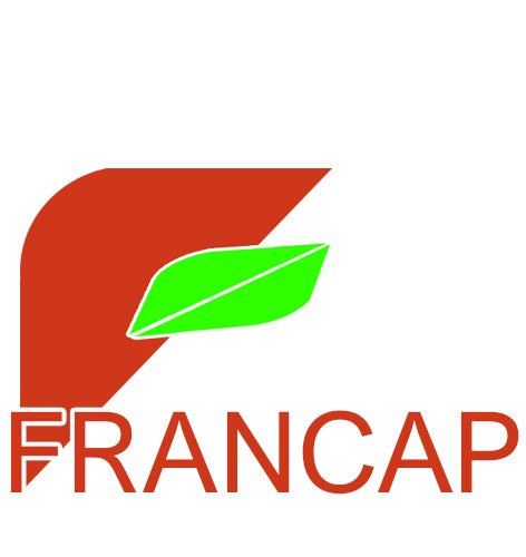 l'histoire du groupe Francap