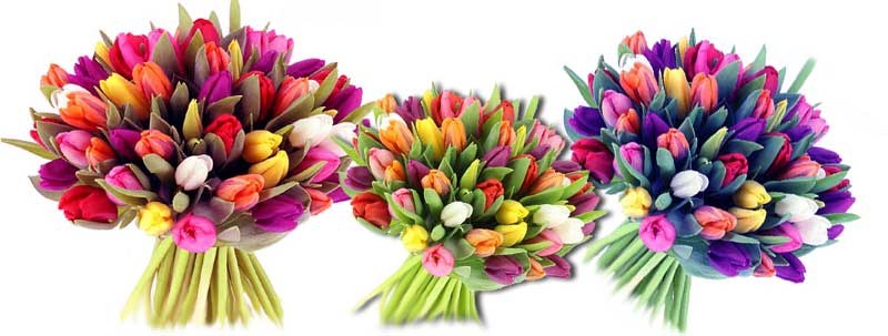 Les fleuristes