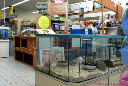 Les animaleries