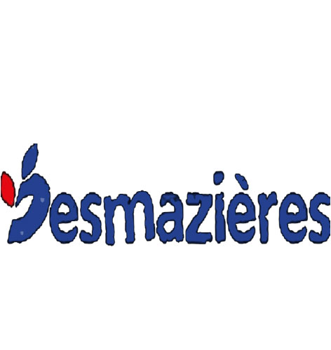 dcouvrir le groupe Desmazires