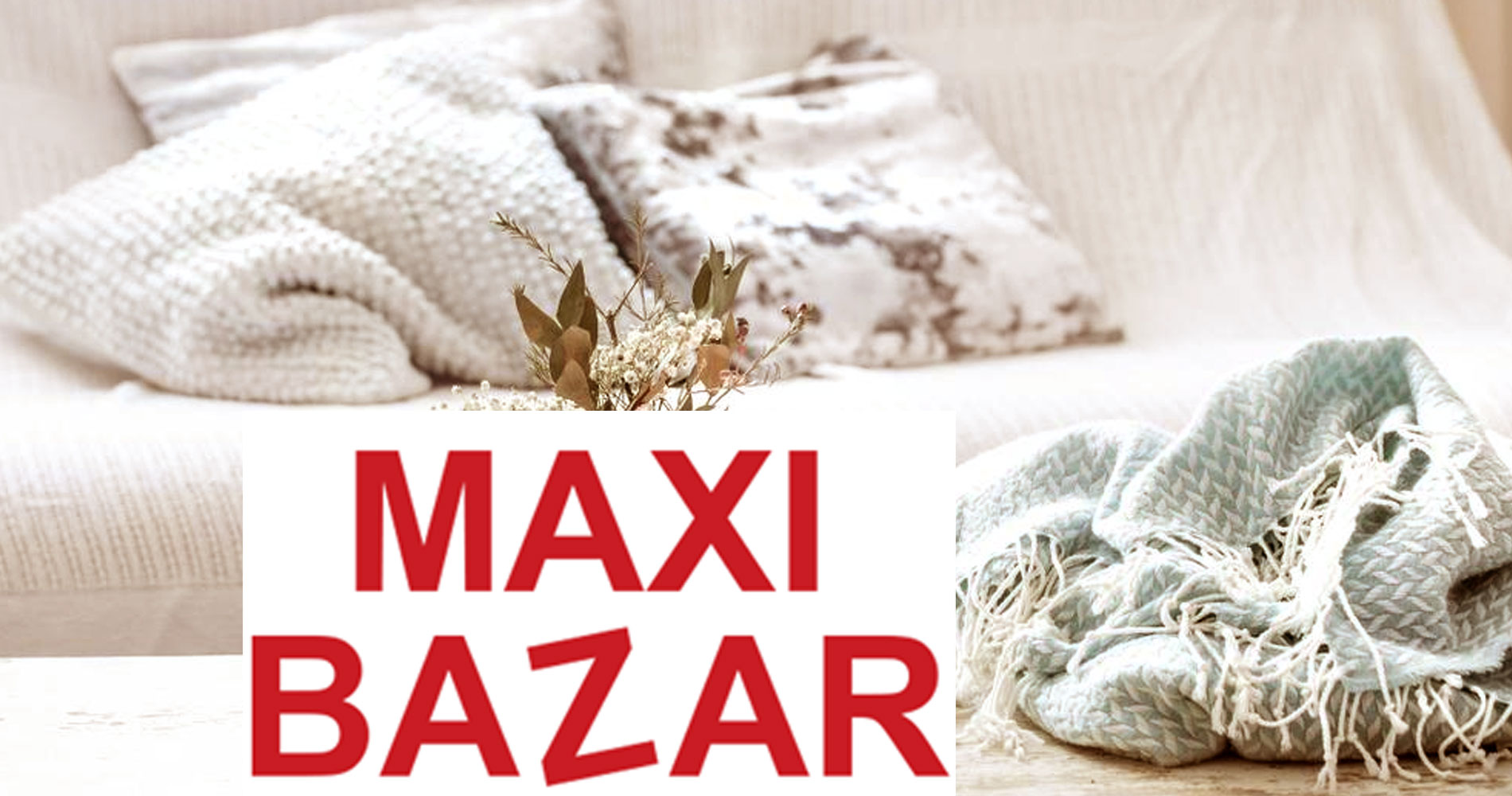 Maxi Bazar, des magasins  petits prix pour la maison prsents en France