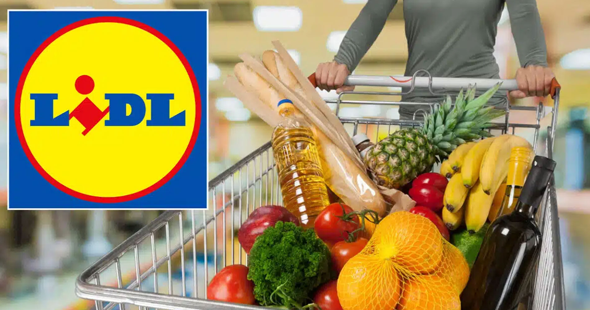 voir les magasins de discount alimentaire LiDL en France