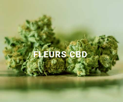 Utiliser la fleur de CBD