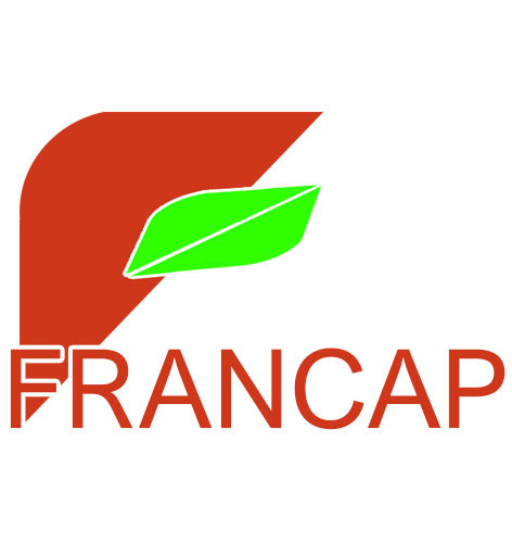 l'histoire du groupe Francap