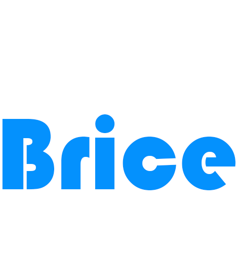 Logo des magasins Brice