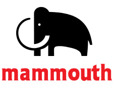 Les magasins Mammouth