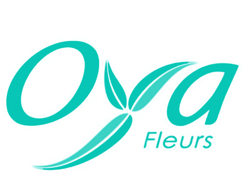 voir les magasins de fleurs en bouquets et plantes d'interieures oya-fleurs