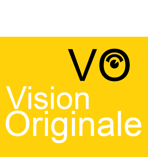 les magasins Vision Originale