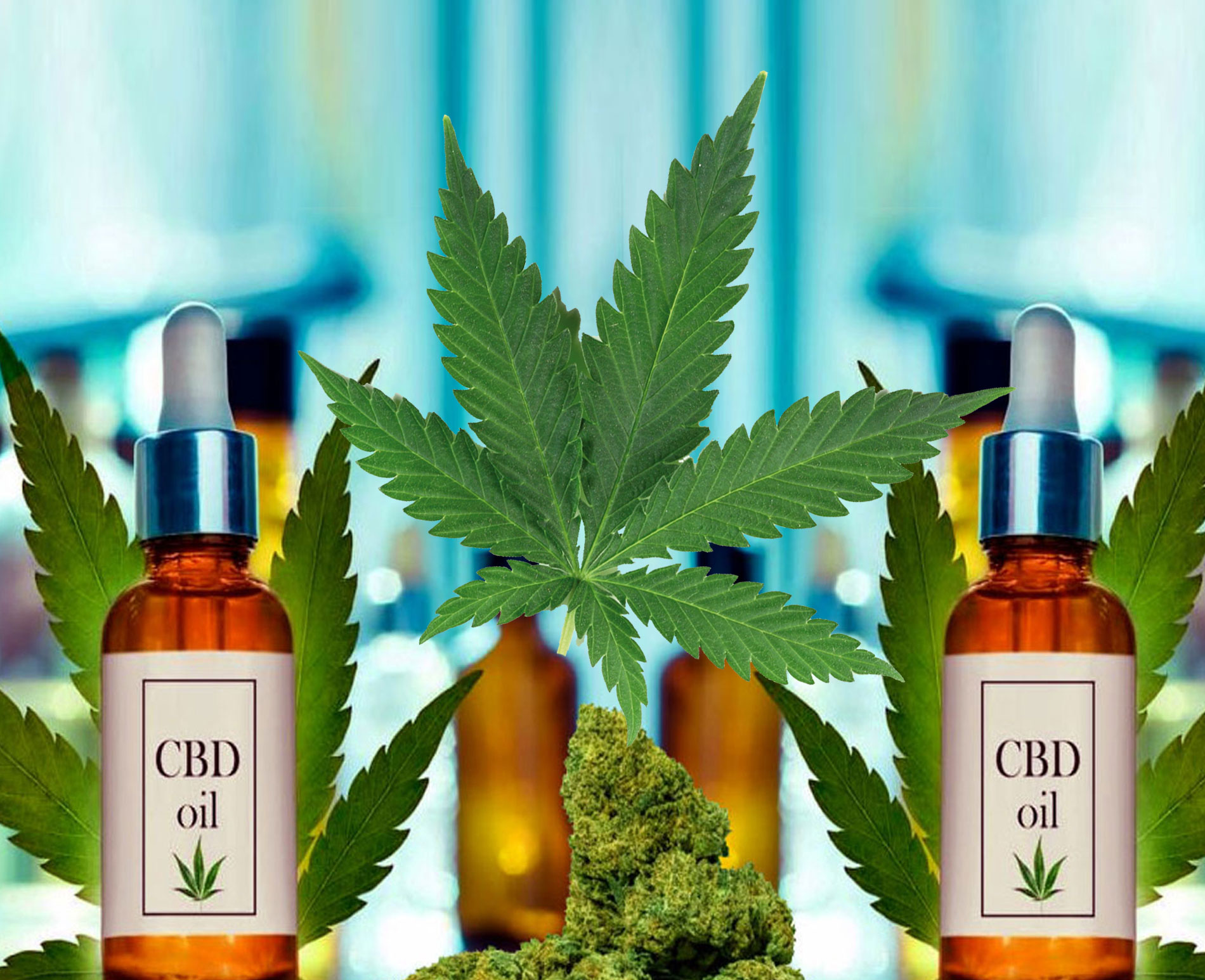 les magasins de CBD The Hemp Concept