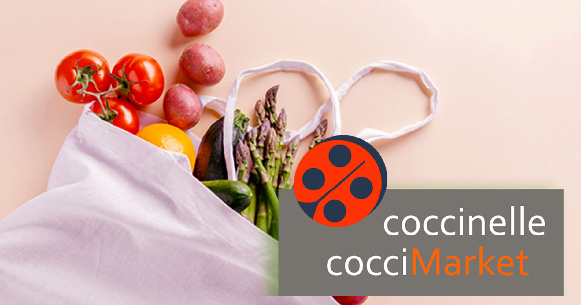 Dcouvrir le magasin Coccinelle