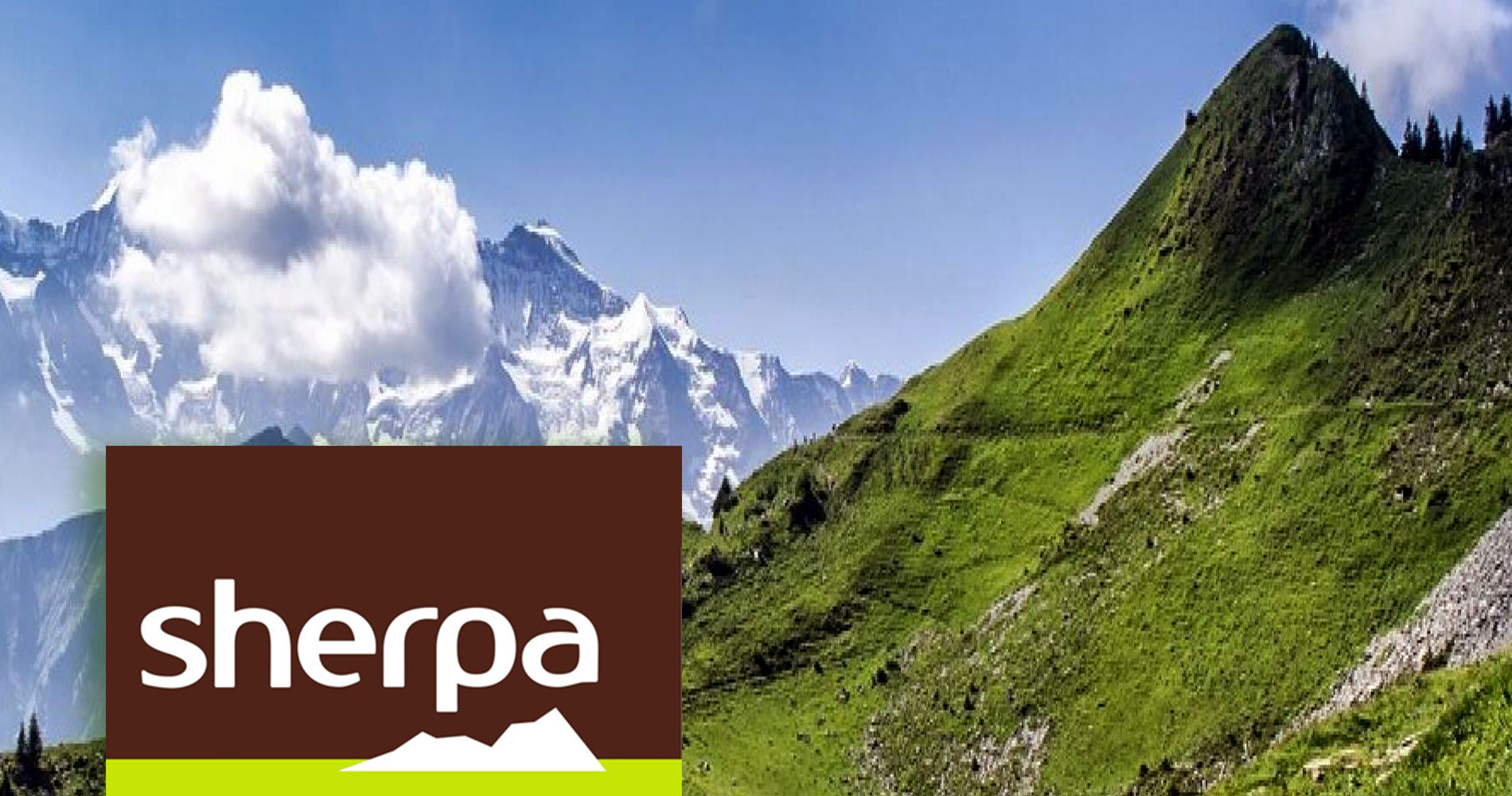 Dcouvrir le magasin Sherpa