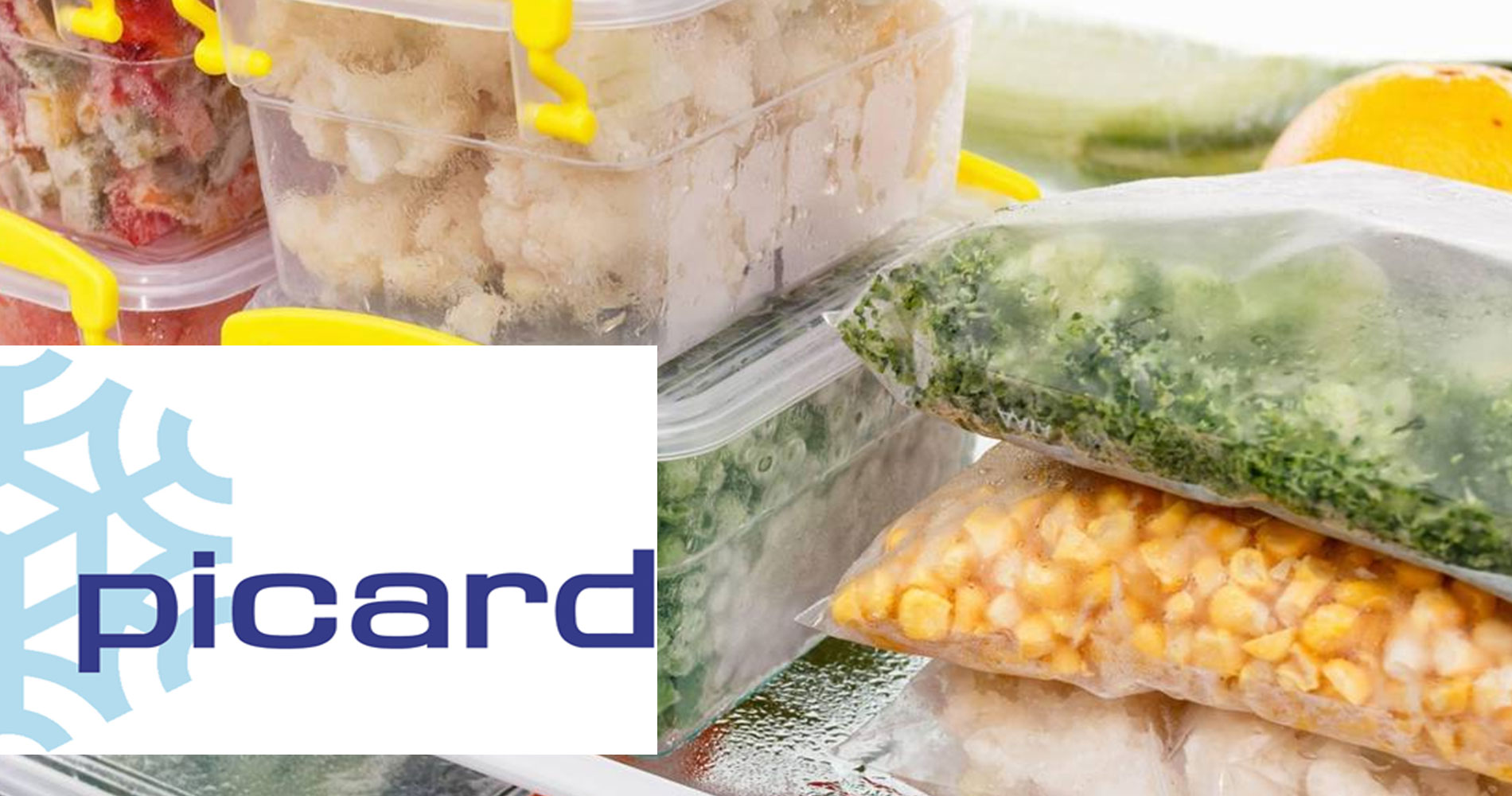 Dcouvrir le magasin Picard