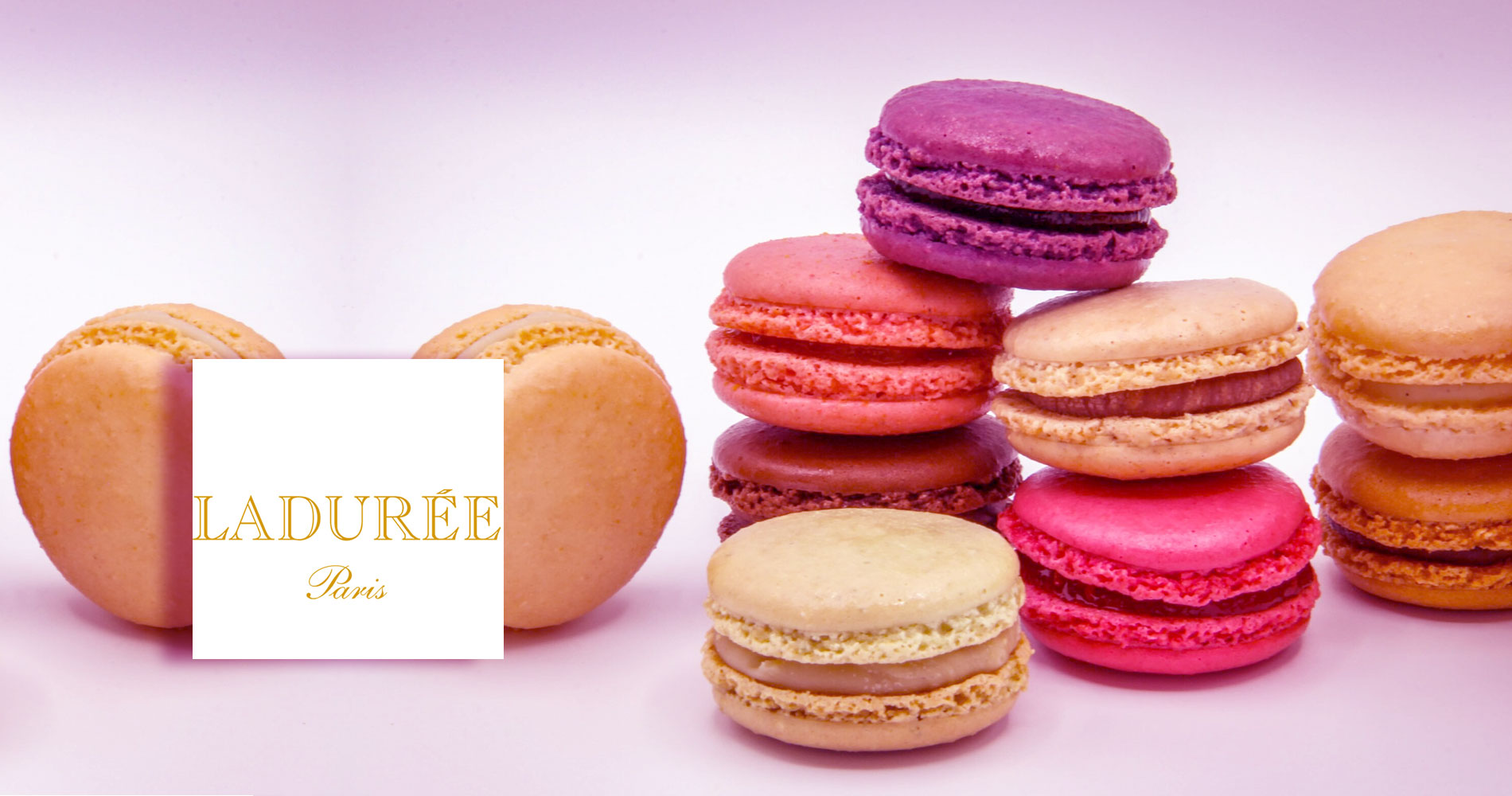 Dcouvrir le patissier Ladure