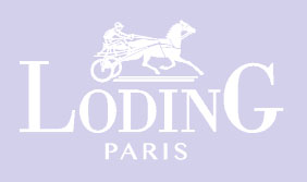 voir les magasins et les promos en France Loding