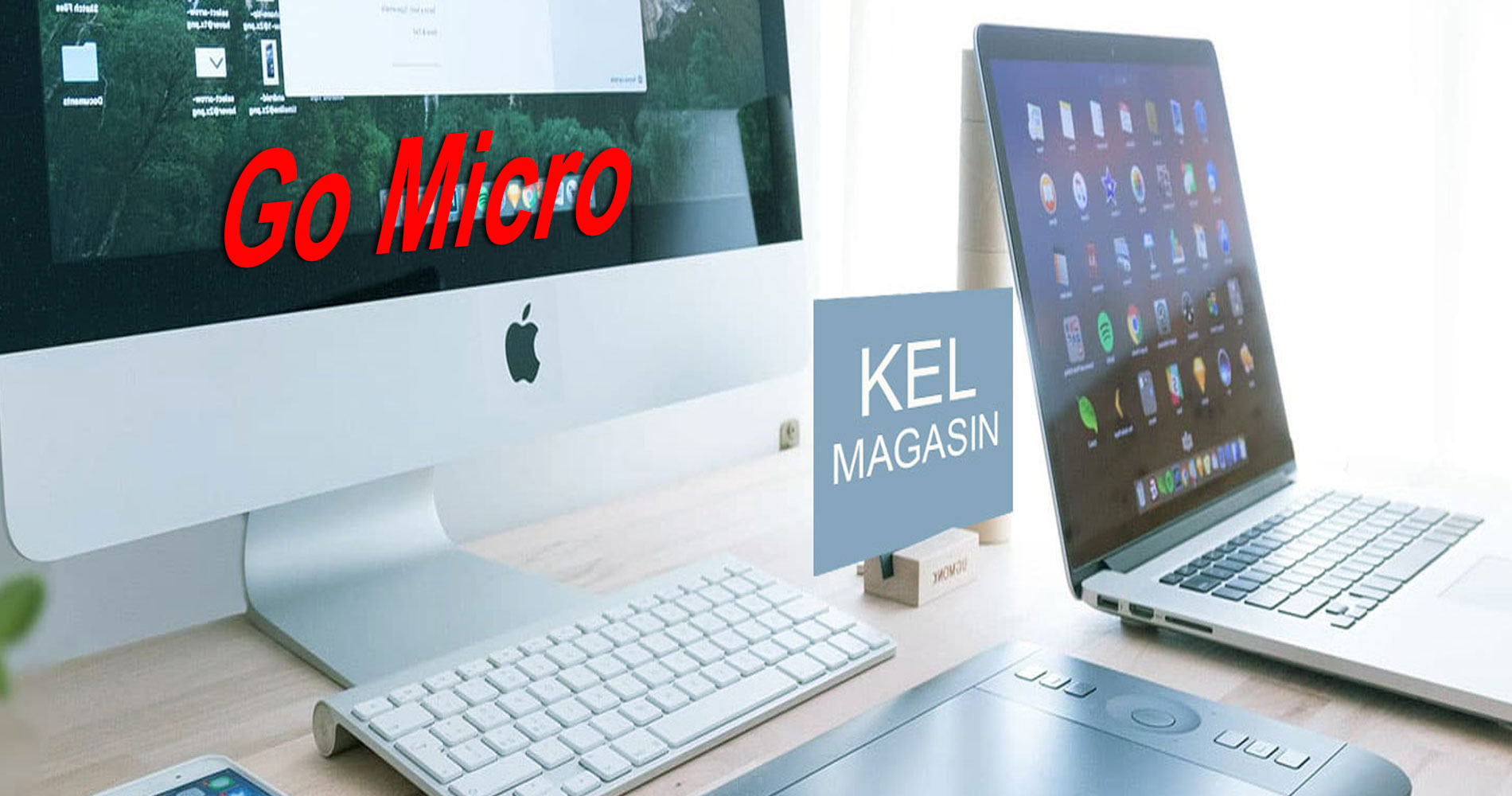 Tous les magasins de matriel et de priphries informatiques Go Micro en France