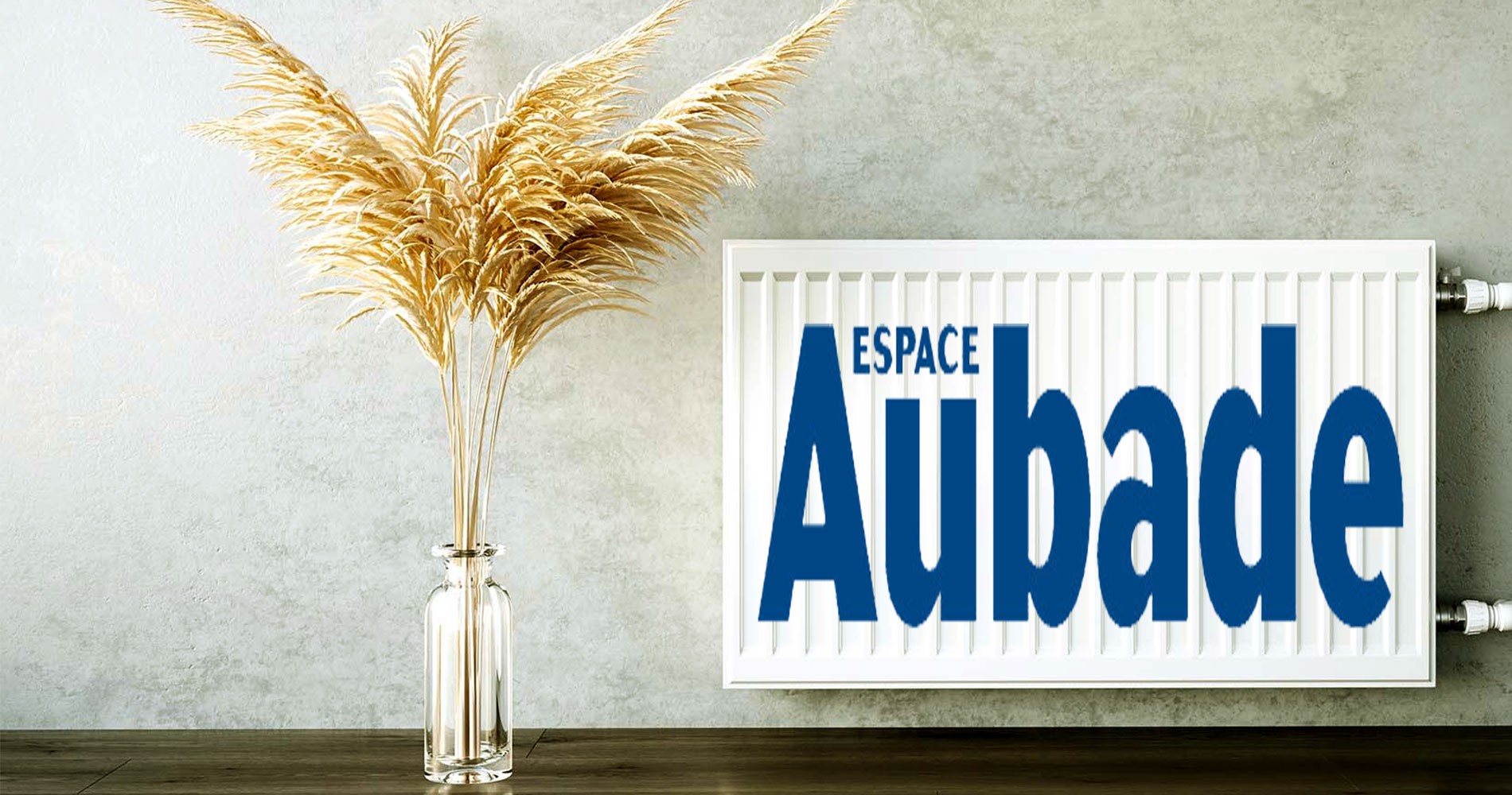 Dcouvrir les magasins Espace Aubade