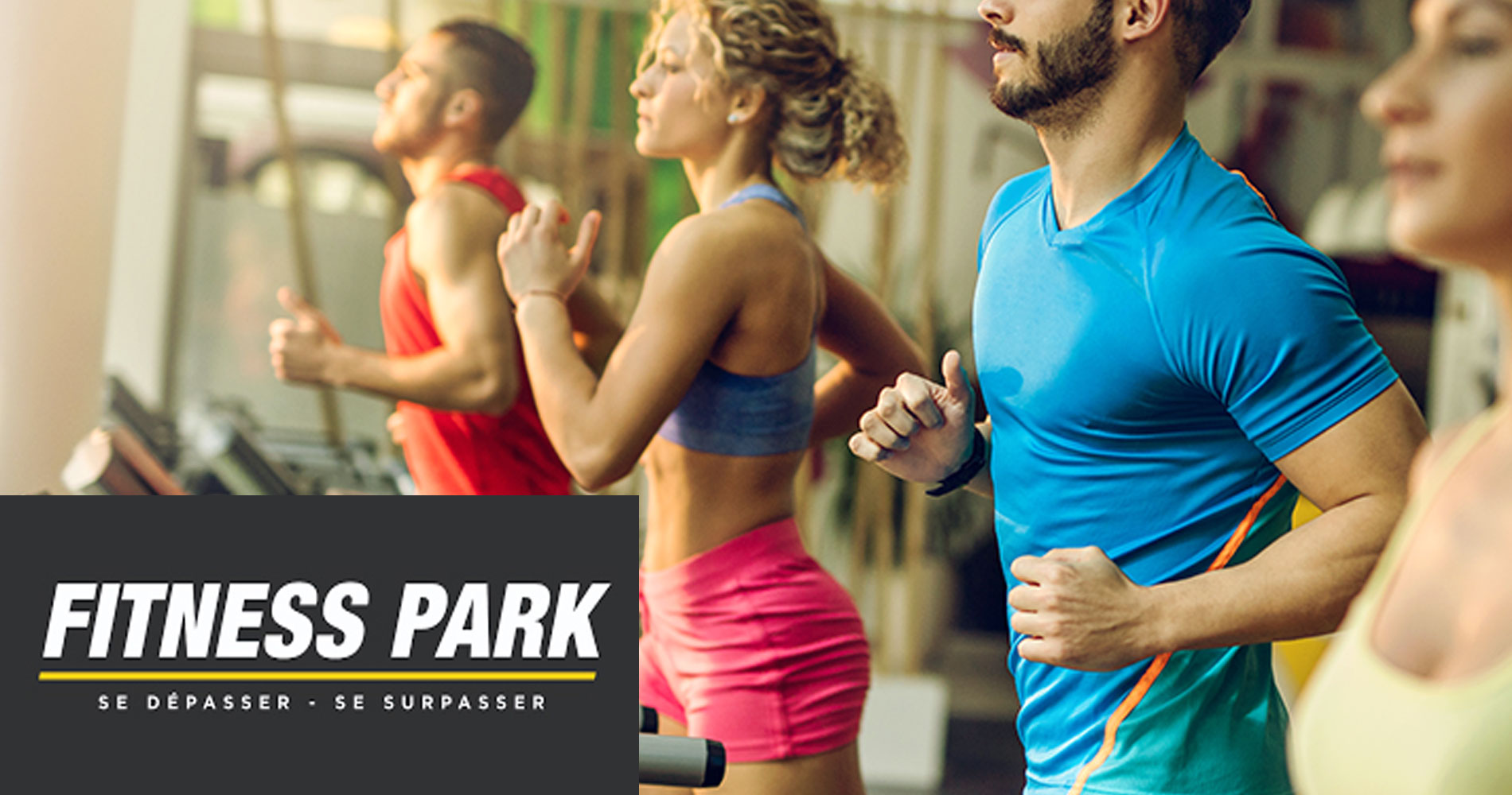 Dcouvrir le centre Fitness Park