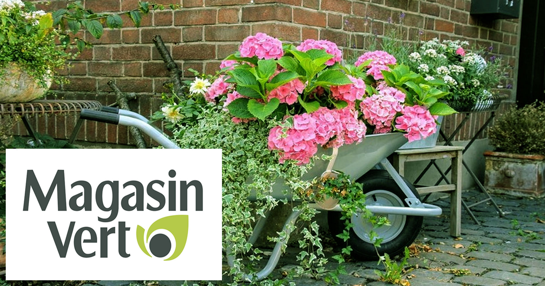 Dcouvrir Magasin Vert