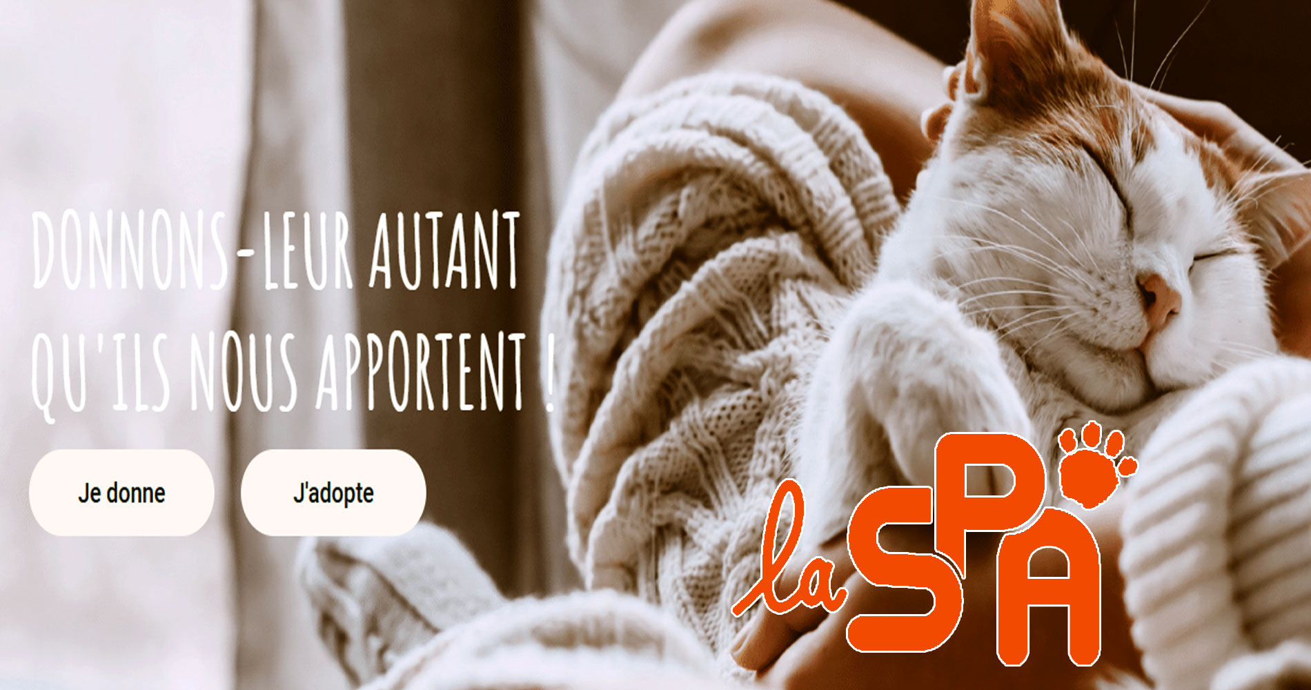 Dcouvrir la SPA