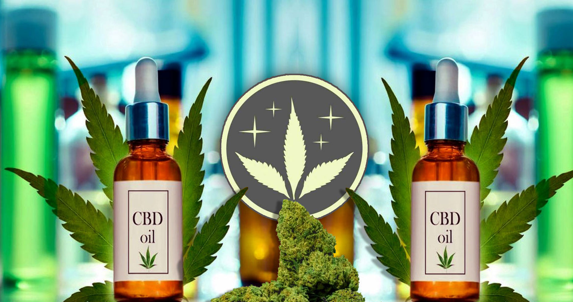 les magasins de CBD The Hemp Concept