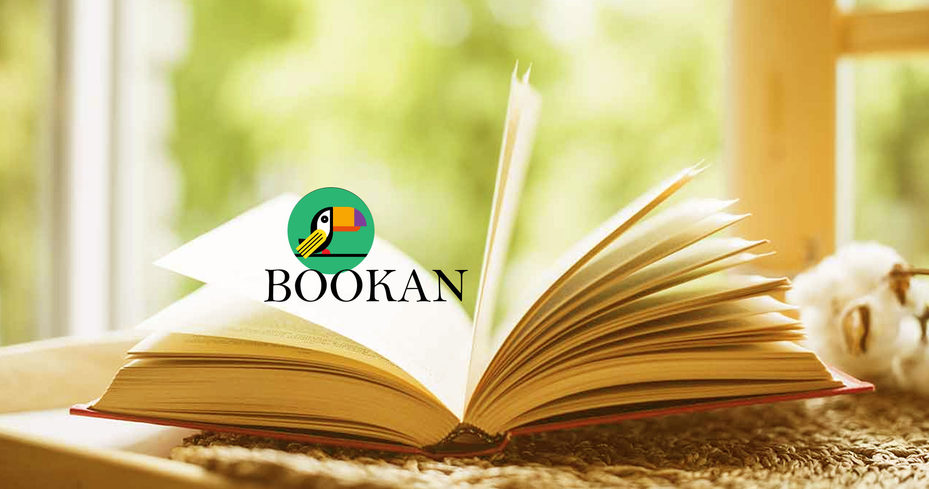 voir les magasins de litterature Bookan en France