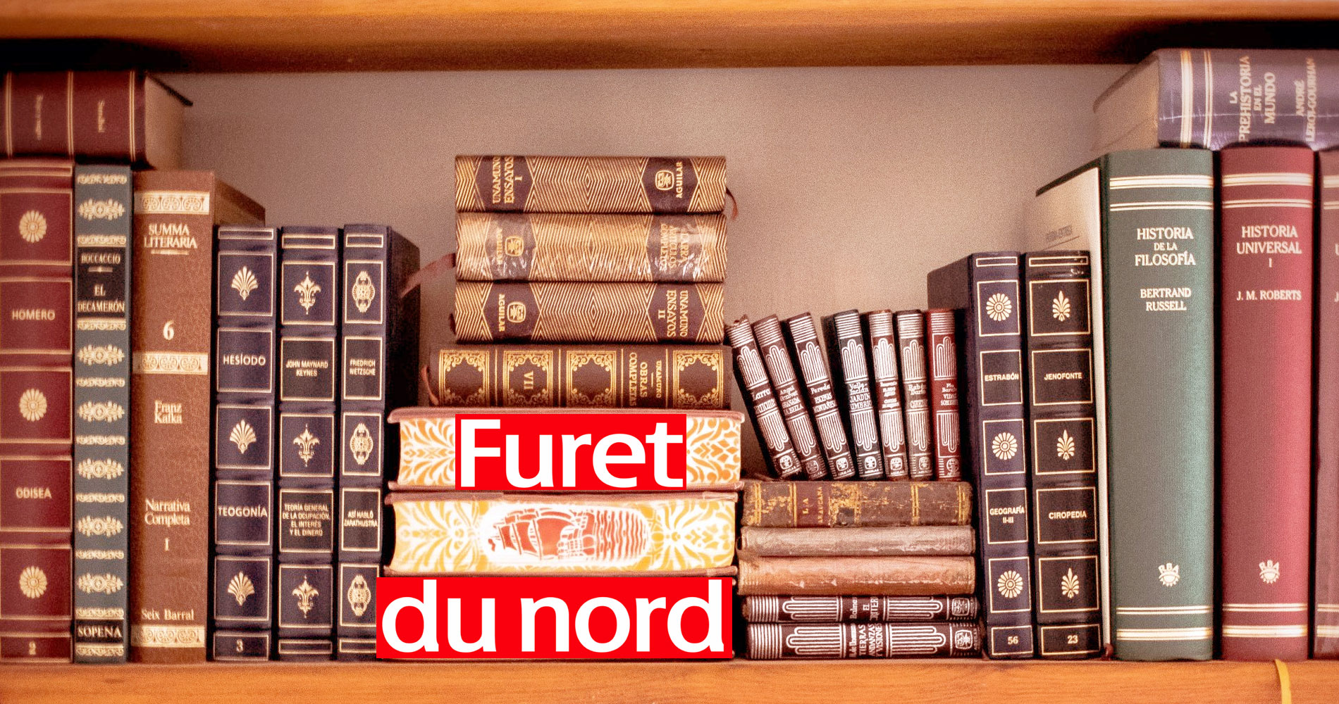 voir les magasins de litterature le Furet du Nord en France