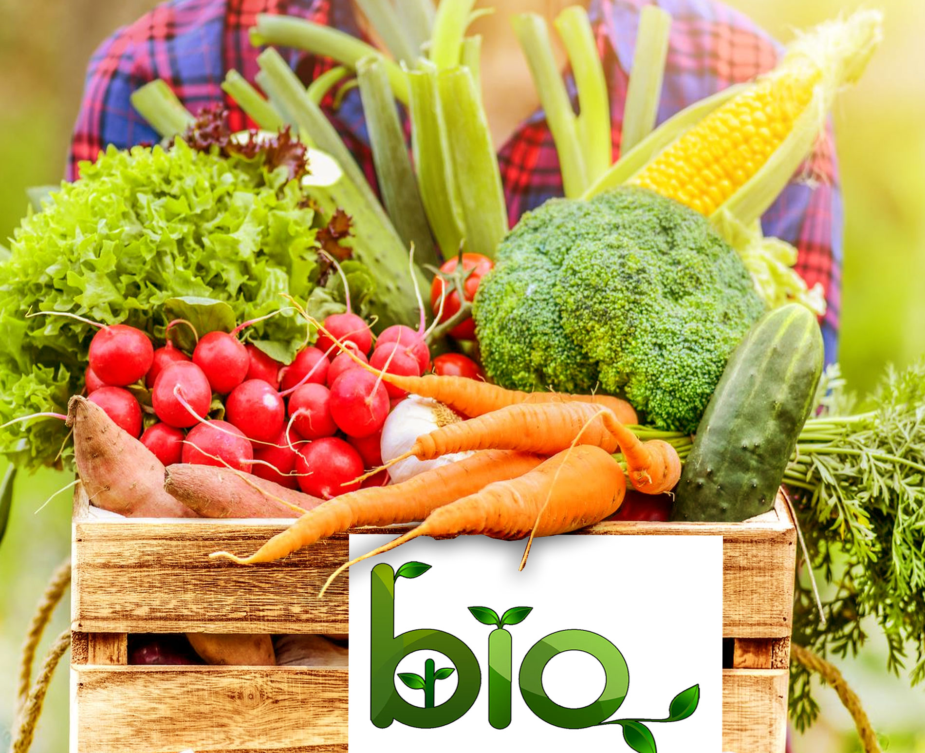 voir les magasins d'alimentation bio Biocoop