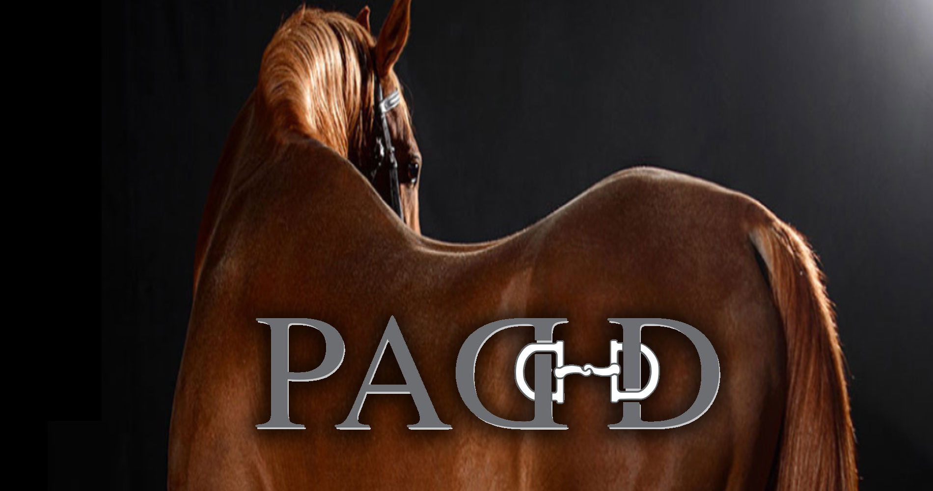 voir les promotions PADD
