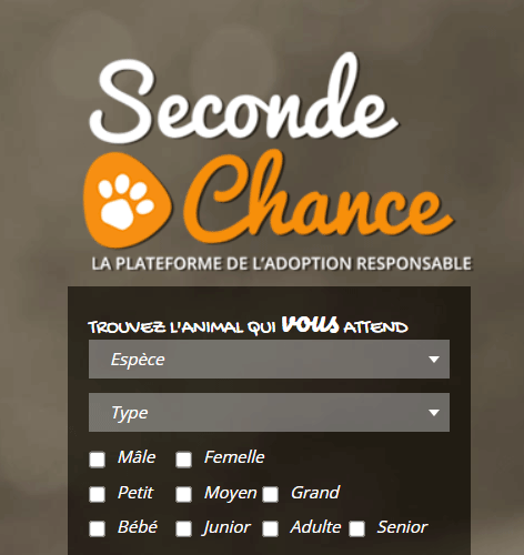 entrer dans le site pour animaux Seconde Chance