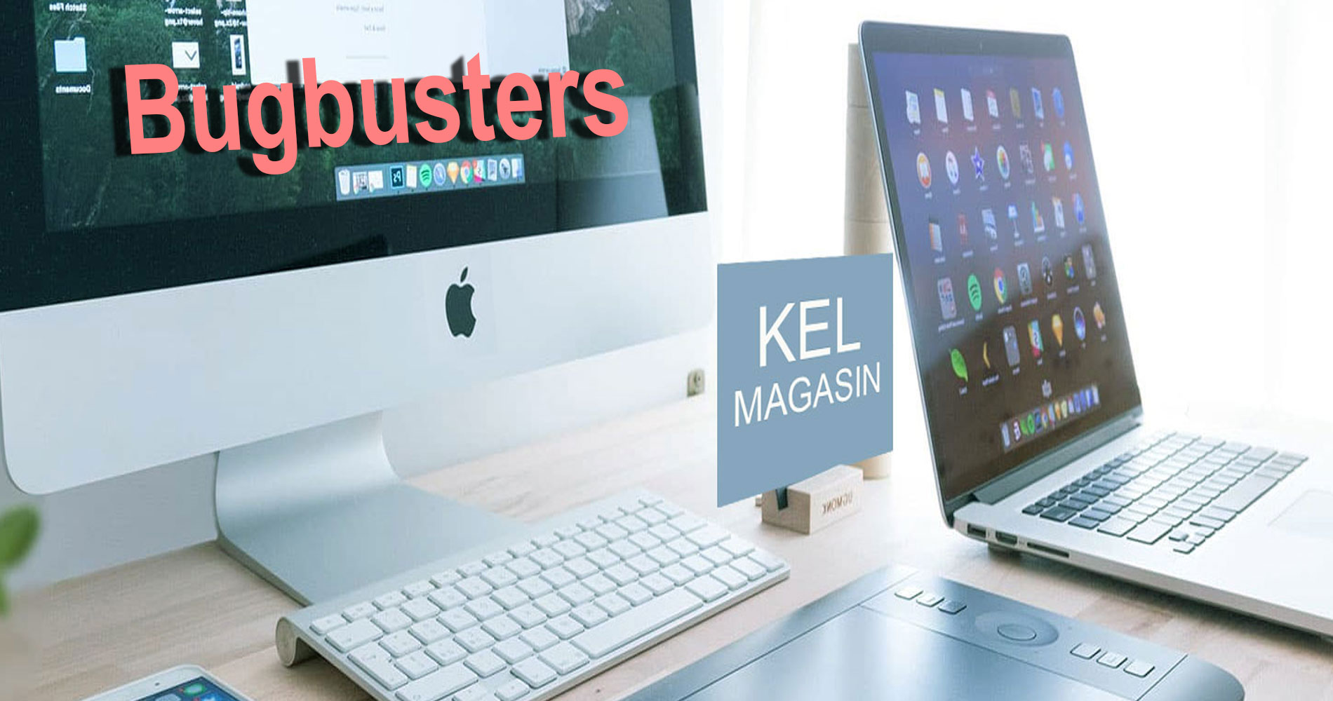 Les services informatiques Bugbusters en France