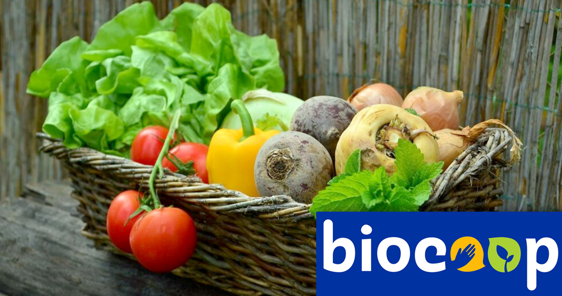 voir les magasins d'alimentation bio Biocoop